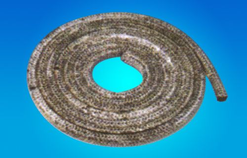 ̼���w�S�P��